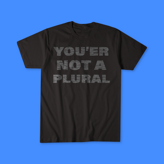 You're Not A Plural, Unisex t-shirt